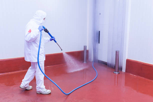 Best Spring Cleaning  in Gateway, FL